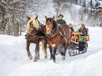 Pferdeschlittenfahrt mit Sepp sen.
