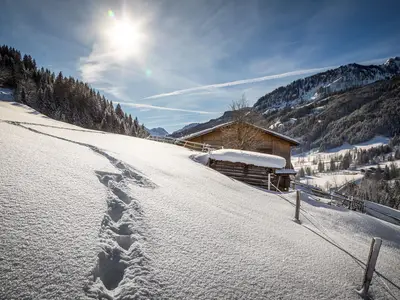 Erste Spurren im Schnee