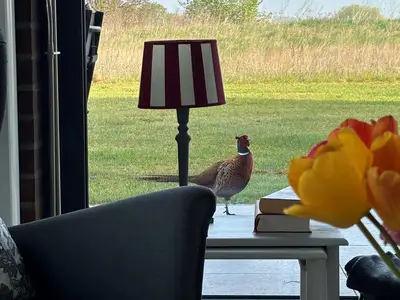 Ferienwohnung für 3 Personen (70 m²) in Hohen Wieschendorf 10/10