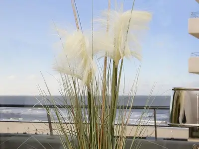 Ferienwohnung für 2 Personen (23 m²) in Westerland (Sylt) 2/10