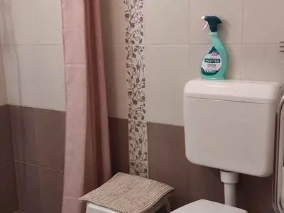 Ferienwohnung für 8 Personen (75 m²) in Balatonlelle 10/10