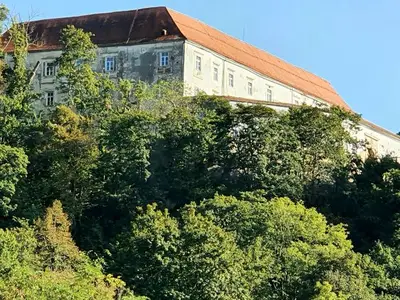 Ferienwohnung für 4 Personen (71 m²) in Mureck 6/10