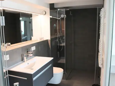 Badezimmer 1: Sauna, Regendusche, WC, Haartrockner