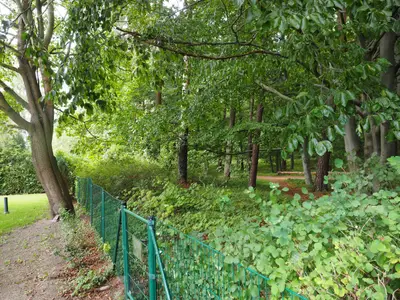 Zugang zum Stadtwald