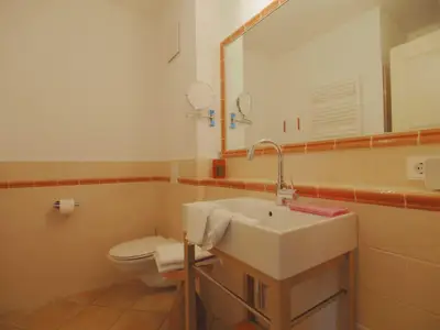 Duschbad mit großem Spiegel