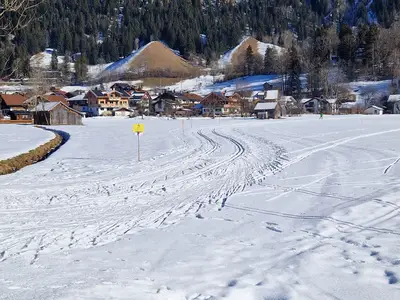 Blick auf das Burgberger Hörnle