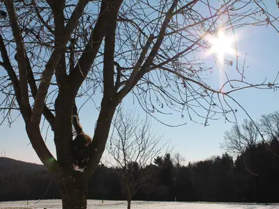 Postls Hirschbirnhof_Landschaft_Oststeiermark