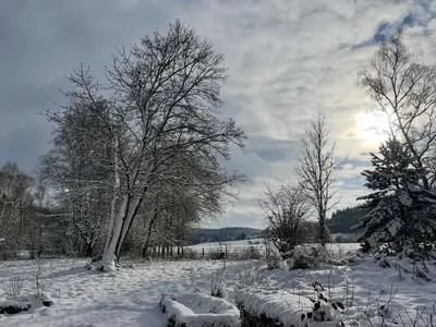 Gartenblick im Winter