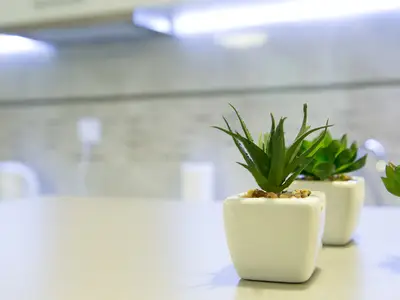 Ferienwohnung für 3 Personen (26 m²) in Szklarska Poreba 8/10