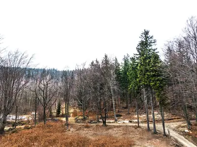 Ferienwohnung für 3 Personen (25 m²) in Szklarska Poreba 4/5
