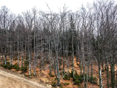 Ferienwohnung für 3 Personen (25 m²) in Szklarska Poreba 5/5