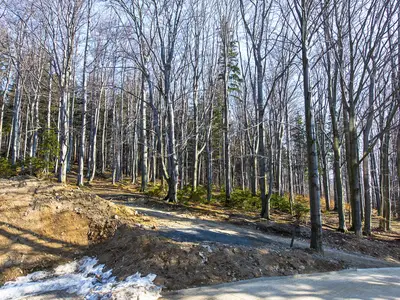 Ferienwohnung für 2 Personen (25 m²) in Szklarska Poreba 5/5