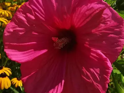 Ferienwohnung für 2 Personen (40 m²) in St. Magdalen 3/10