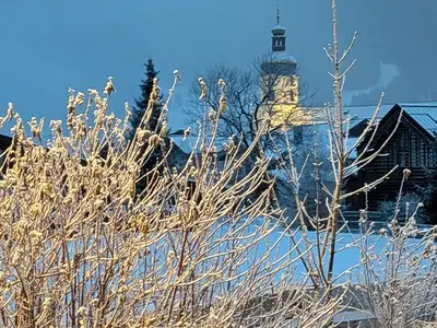 Ferienwohnung für 6 Personen (68 m²) in Tannheim 10/10