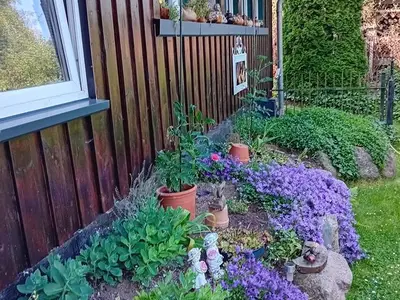 Ferienwohnung für 4 Personen (90 m²) in Hohen Wangelin 5/10