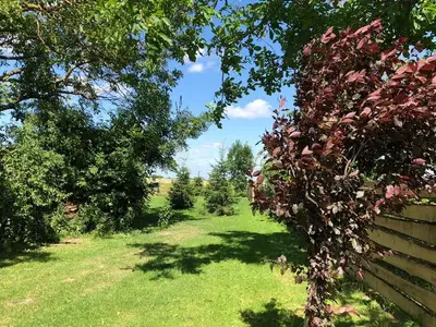 Ferienwohnung für 5 Personen (66 m²) in Uckerland 3/10