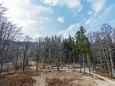 Ferienwohnung für 3 Personen (25 m²) in Szklarska Poreba 5/5