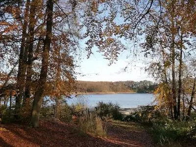 Ferienwohnung für 2 Personen (55 m²) in Lalendorf 10/10