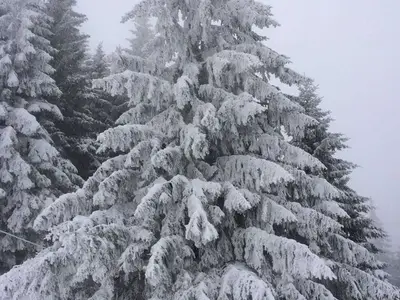 Ferienwohnung für 4 Personen (45 m²) in Nesselwängle 1/10