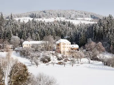Pichlschloss vom Geigerkogel