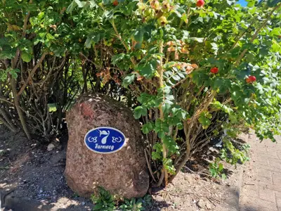 Ferienwohnung für 5 Personen (100 m²) in Wyk auf Föhr 3/10