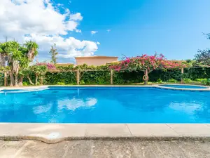 Ferienwohnung für 4 Personen (50 m²) in Felanitx