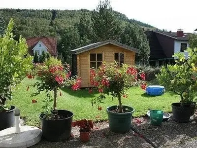 Ferienwohnung für 4 Personen (65 m²) in Wolfshagen (Niedersachsen) 5/9