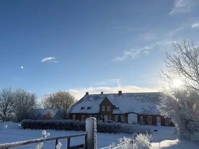 Ferienwohnung für 6 Personen (73 m²) in Hattstedtermarsch 1/10