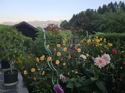 Garten Südseite mit Blick nach Osten