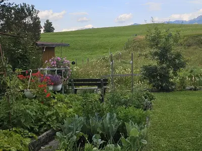 Garten im Sommer