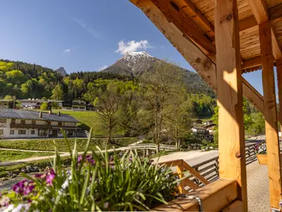 Appartement Reh Ausblick