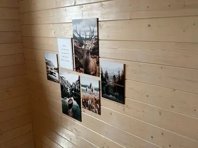 Ferienwohnung für 4 Personen (51 m²) in Nittenau 3/10