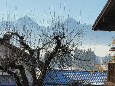 Panorama v. Obstgarten