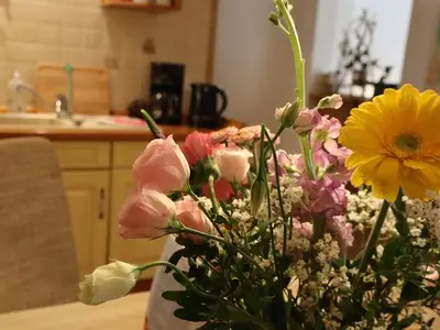 Ferienwohnung für 2 Personen (63 m²) in Bad Gottleuba 7/10