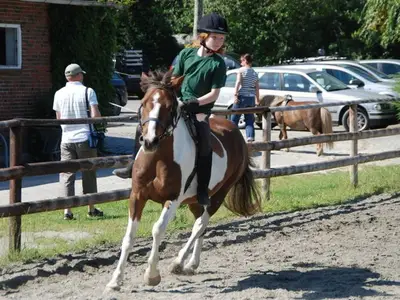 Ferienwohnung für 4 Personen in Hooksiel 6/10
