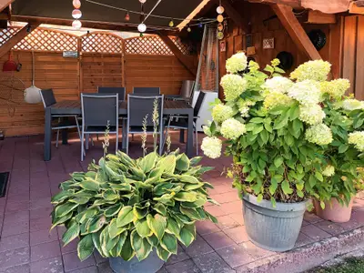 Überdachte Terrasse