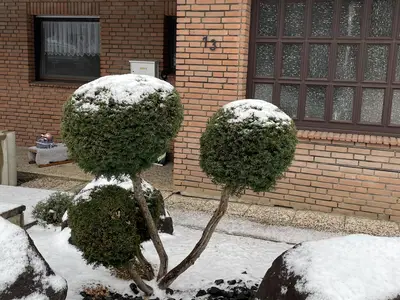 Fritzchens Quartier - Außenansicht