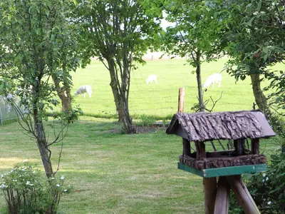 Ferienwohnung für 2 Personen (50 m²) in Nordstrand 10/10