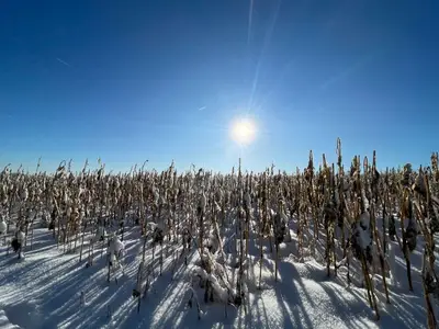 Ferienwohnung für 3 Personen (30 m²) in Unterleinleiter 5/10