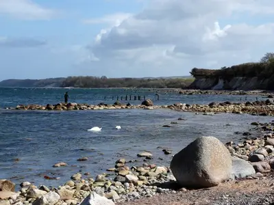 Ferienwohnung für 4 Personen (52 m²) in Dranske 10/10