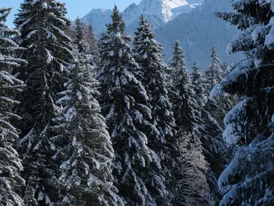 Nahe gelegene Ausflugsziele