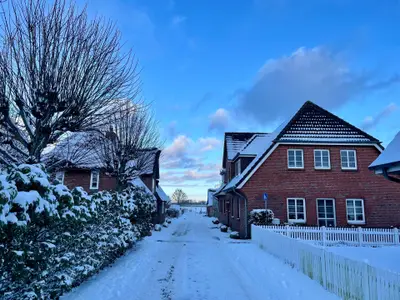 Ferienwohnung für 5 Personen (62 m²) in Wrixum 2/10