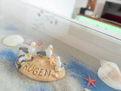 Ferienwohnung für 4 Personen (48 m²) in Binz (Ostseebad) 4/10