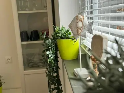 Ferienwohnung für 2 Personen (30 m²) 7/10