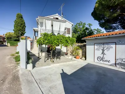 Ferienwohnung für 4 Personen (60 m²) in Vabriga 5/10