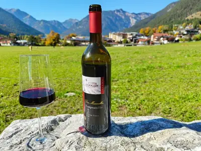 Ferienwohnung für 4 Personen (56 m²) in Maurach am Achensee 6/10