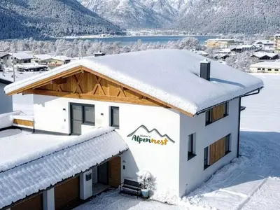 Ferienwohnung für 4 Personen (56 m²) in Maurach am Achensee 8/10