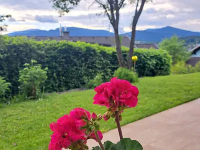 Ein Blick auf sanfte Hügel und erste Berge