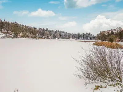 Ferienwohnung für 4 Personen (30 m²) in Goslar-Hahnenklee 7/7