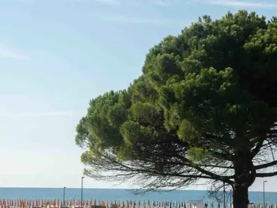 Ferienwohnung für 5 Personen (40 m²) in Bibione 10/10